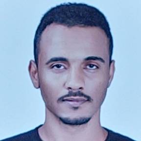Mohammed Shazaly Abdelraman Elhassan
